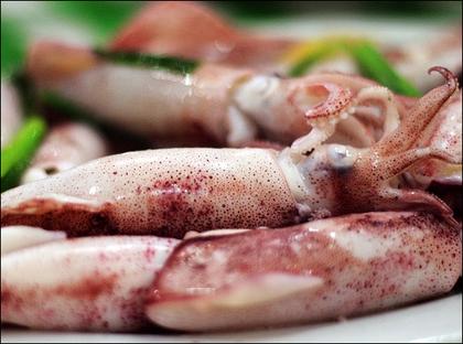 挑选营养丰富的墨鱼