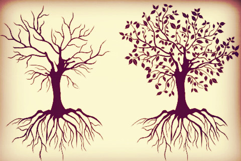 繁荣背后，北上广深餐企死亡率究竟有多高