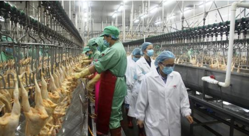 8000块起家，如今靠养殖做到2000亿，足可比肩华为却鲜有人知|餐饮界