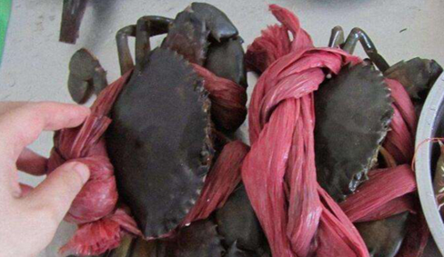 北京海鲜市场:76元大螃蟹绳子占38元 摊开超10米