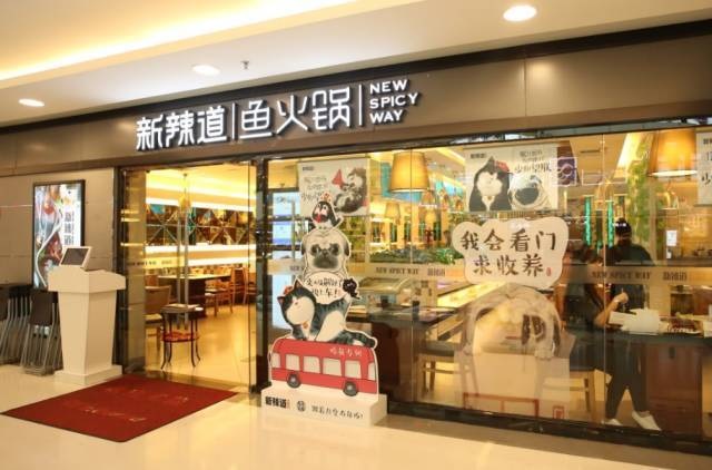 破局传统营销思维，看新辣道如何跨界&借势疯狂圈粉？ | 案例