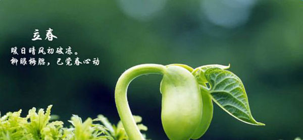 用好这几点，让你的火锅加盟店在春天有个红红火火的开始