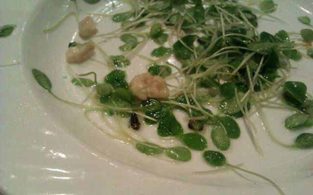 这个店长真疯狂：在客人要求下，从垃圾桶捡出苍蝇一口吞下|餐饮界