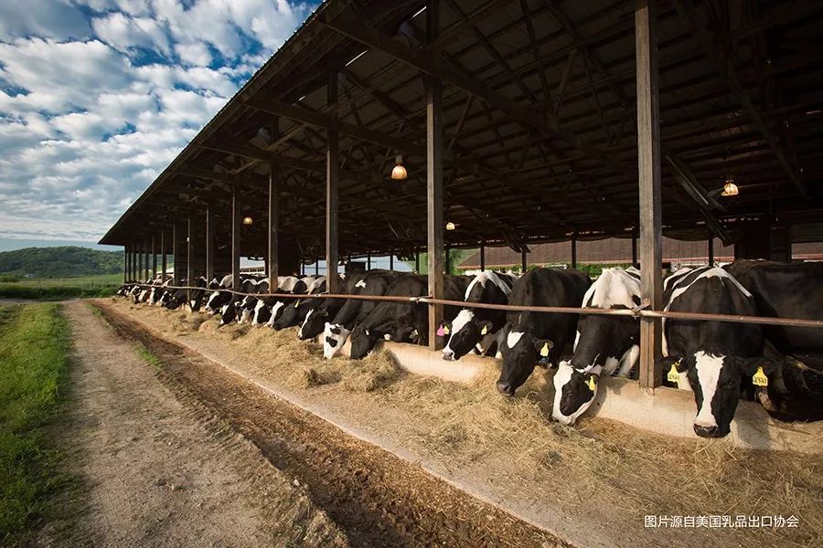 美国乳制品走向中国餐桌，将为中国市场带来哪些影响？|餐见|餐饮界