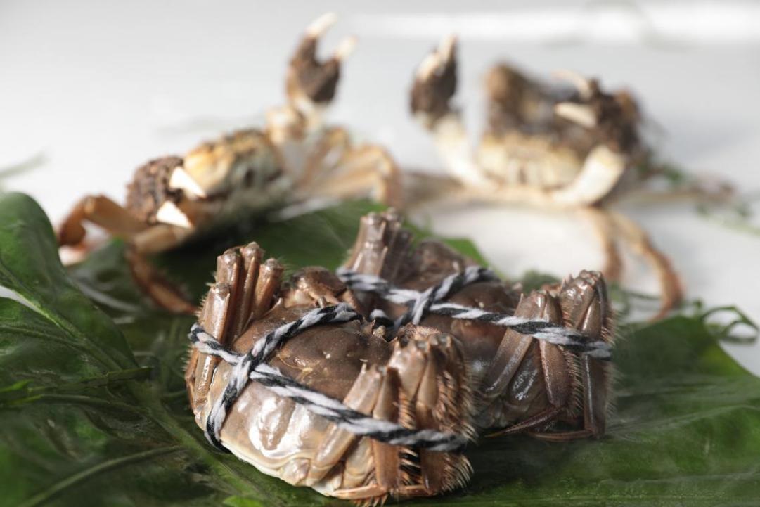  一只阳澄湖大闸蟹  两家企业的升级演变史|餐饮界