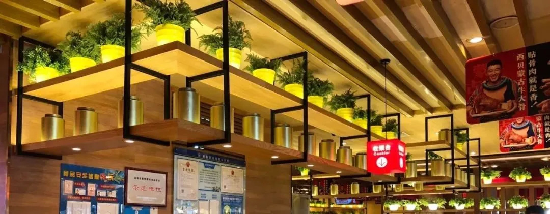 陆续复工，蚂蚁保险的这款“营业中断险”能否解决餐企“后患”？| 餐见|餐饮界