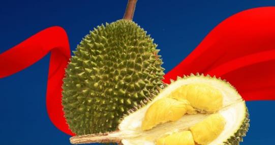 绿谷猫山王榴莲，始终守护你的健康|餐饮界