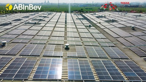 百威&道达尔远景：光伏啤酒“续杯”绿色未来
