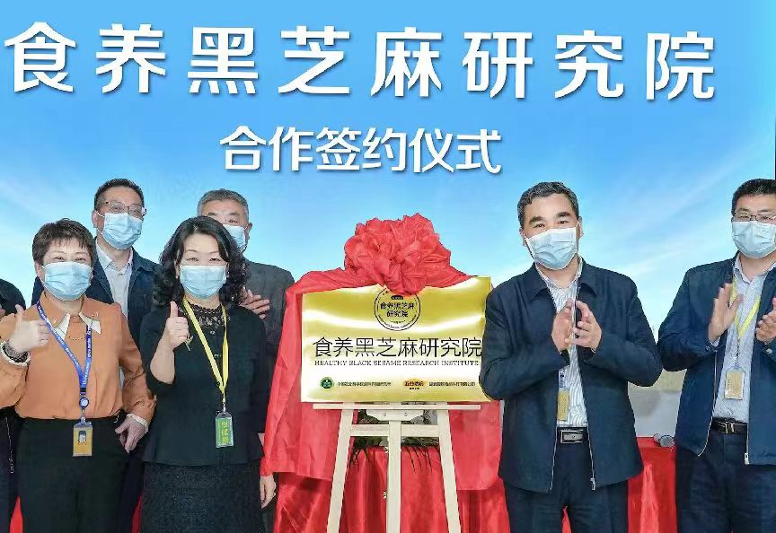 五谷磨房：培育“黑之养1号”  力争打造农民增收幸福田