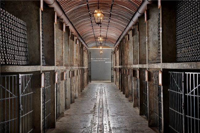 贝尔塔尼图书馆品鉴会初登华夏，上海、北京、深圳、广州流连品鉴芳香