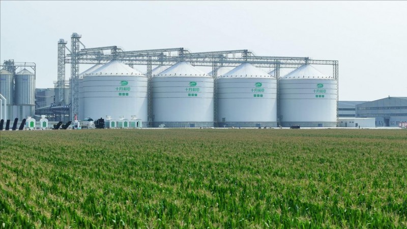 十月稻田玉米全国销量领先！引爆主食消费新热潮