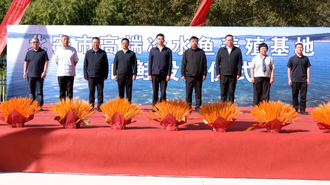 我省首次引进新疆赛里木湖高白鲑 6万尾鱼苗在北安完成投放|餐饮界
